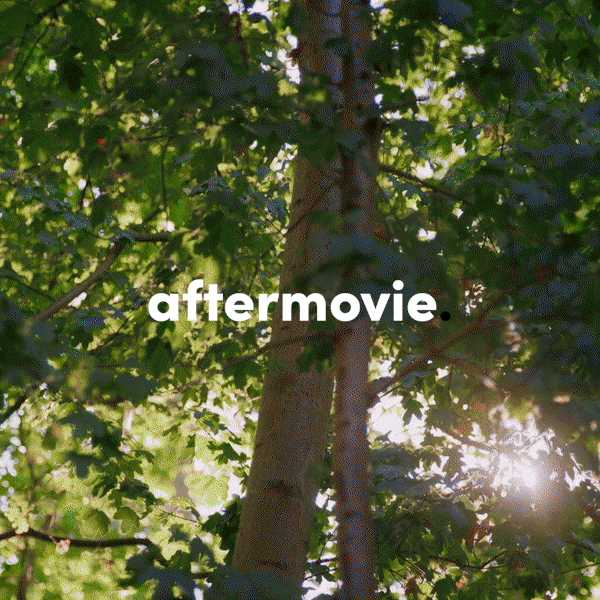 Aftermovie van jouw evenement